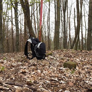 Jiřina na vrcholu Holý kopec (17.4.2021 16:12)