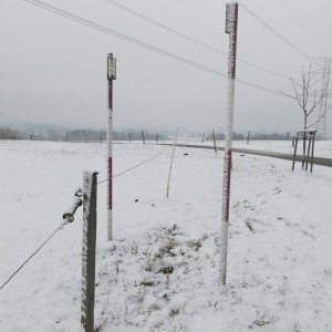 ZdenkaV on the summit of U Lipek (14.2.2025 12:13)