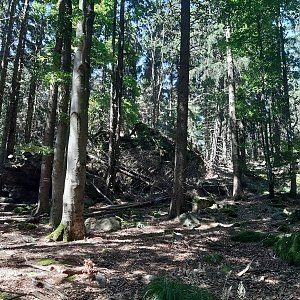 ZdenkaV na vrcholu Malá Kleť - JV vrchol (25.7.2022)