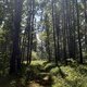 ZdenkaV on peak Babí hora