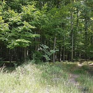 Marcela Kubíčková na vrcholu Na Křižíku (9.7.2022 12:41)