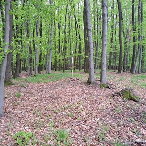 Horalka Anička na vrcholu Na Křižíku (19.4.2024 15:48)