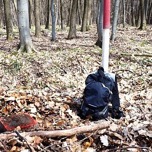 Jiřina na vrcholu Na Křižíku (20.4.2021 10:30)