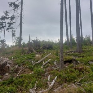 Cyklista 73 on the summit of Kužel (30.6.2023 9:23)