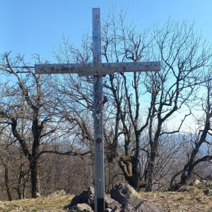 Hancula on the summit of Klokoč (14.3.2026 11:31)