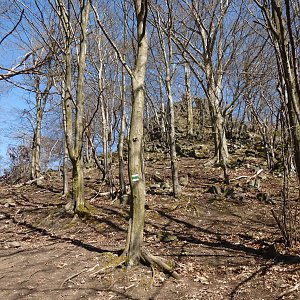 Nojby on the summit of Vojkovický Špičák (26.4.2021 15:05)