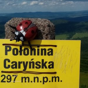 Jiřina on the summit of Kruhly Wierch (25.6.2025 15:57)