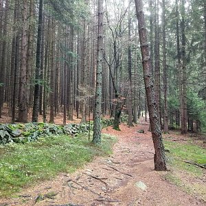 Vladimír Grančay na vrcholu Javorník - Z vrchol I (5.11.2022 11:45)