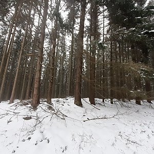 Šumava