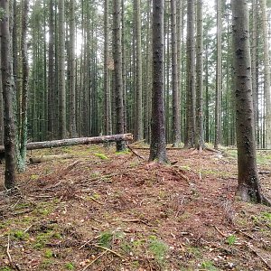 Vladimír Grančay na vrcholu Javorník - Z vrchol II (5.11.2022 11:50)