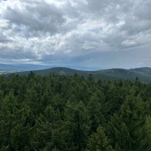 akam na vrcholu Javorník Z2 (29.7.2025 13:23)