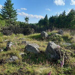 ZdenkaV na vrcholu Liščí vrch (29.7.2021)