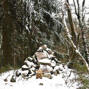 medvěd cestovate na vrcholu Brno (16.1.2024 14:22)