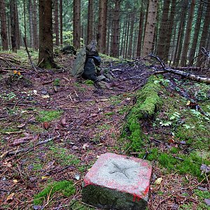 Nojby na vrcholu Hřeben (26.9.2022 13:53)