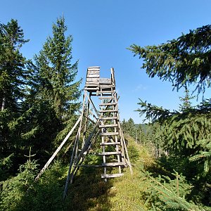 Nojby na vrcholu Borový vrch (6.9.2021 11:02)