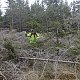 Nojby na vrcholu Na Strašidlech (1.5.2021 14:55)