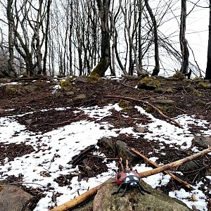 Jiřina na vrcholu Vokouňák (8.4.2023 14:48)
