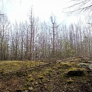 michalzhor na vrcholu Vokouňák (1.5.2021 13:48)