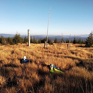 Badger on the summit of Stráž JZ (26.10.2019 16:22)
