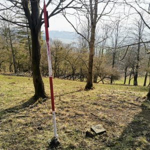 Šárka on the summit of Wróżna (28.3.2025 13:37)