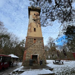 Betička na vrcholu Chlum (26.11.2023 12:12)