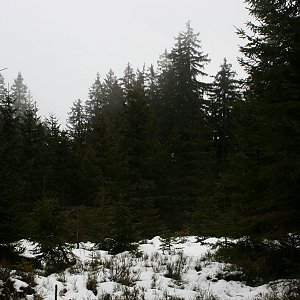 Bouřka on the summit of Orel J (27.1.2020 11:45)