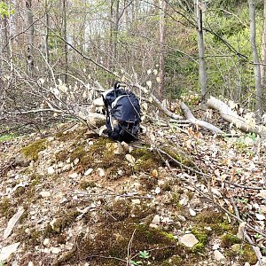 Jiřina na vrcholu Lipový kopec (4.5.2021 19:54)