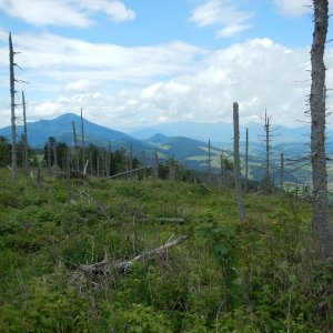 Rastislav Biarinec on the summit of Lomné (19.7.2020 11:37)