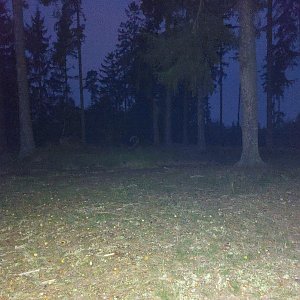 Křivoklátská vrchovina