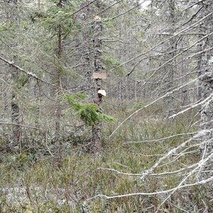 Vladimír Grančay na vrcholu Přilba - S vrchol (10.3.2024 13:44)