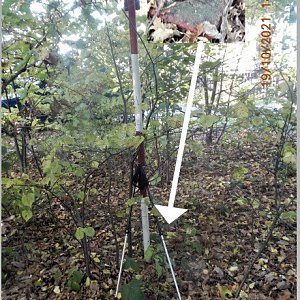 PA!WELL na vrcholu Žižkov (19.10.2021)