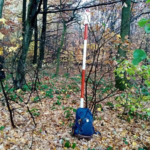 Jiřina na vrcholu Žižkov (2.11.2021 10:40)