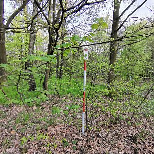 Šárka na vrcholu Žižkov (6.5.2021 18:45)