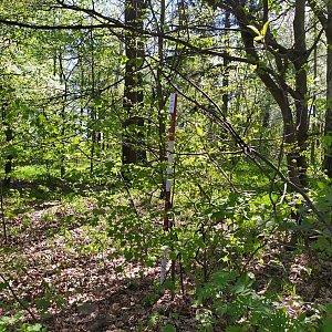 ŠenovKK na vrcholu Žižkov (10.5.2021 10:48)