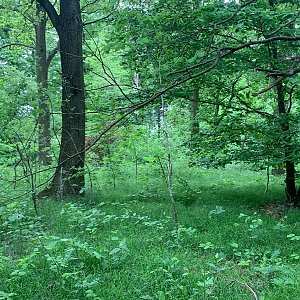Alexandr Starý na vrcholu Žižkov (21.5.2021 16:30)