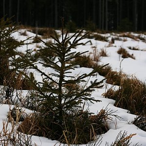 Bouřka na vrcholu Jelení vrch - JZ vrchol (27.1.2020 9:02)