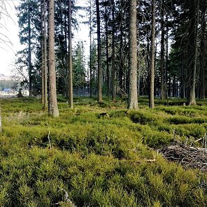 Vladimír Grančay na vrcholu Jelení vrch - JZ vrchol (11.4.2020 18:50)