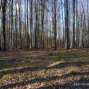 Juditka na vrcholu Kyjanický kopec (8.5.2021)