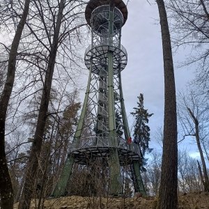VěrkaN na vrcholu Dobrá voda (26.1.2025 15:33)