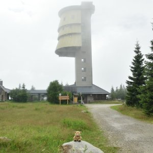 medvěd cestovate na vrcholu Poledník (31.7.2025 16:40)