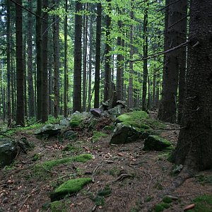 Bouřka on the summit of Výběžek (10.5.2015 9:55)