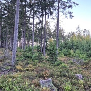 p_e_t_r_95 on the summit of Hlava (22.10.2026 17:52)