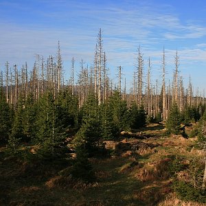Bouřka on the summit of Nad Latschensee JV (8.5.2015 7:28)