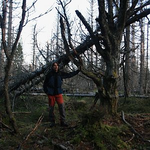 Bouřka on the summit of Smrkový vrch (8.5.2015 6:27)