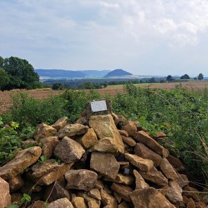 Horalka Anička on the summit of Salaš (27.8.2023)