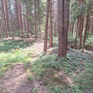 Cyklista 73 on the summit of Hrádek (21.7.2024 11:22)