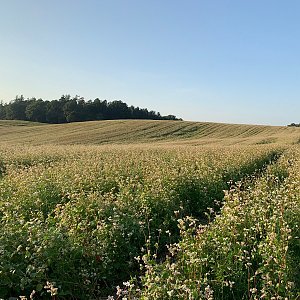 Alexandr Starý na vrcholu Na Píšťském (22.9.2020 17:20)