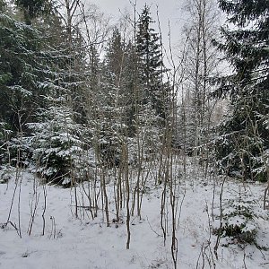 TP on the summit of Limnický vrch (20.1.2023 11:42)