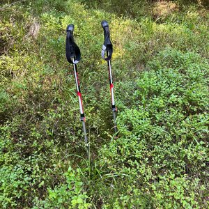 Radka D na vrcholu Jelení vrch (28.6.2024 11:07)