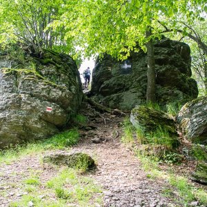 tusombol na vrcholu Veľký Inovec (7.6.2019 10:00)
